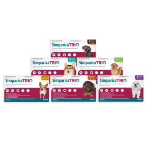 Simparica Trio Tabs