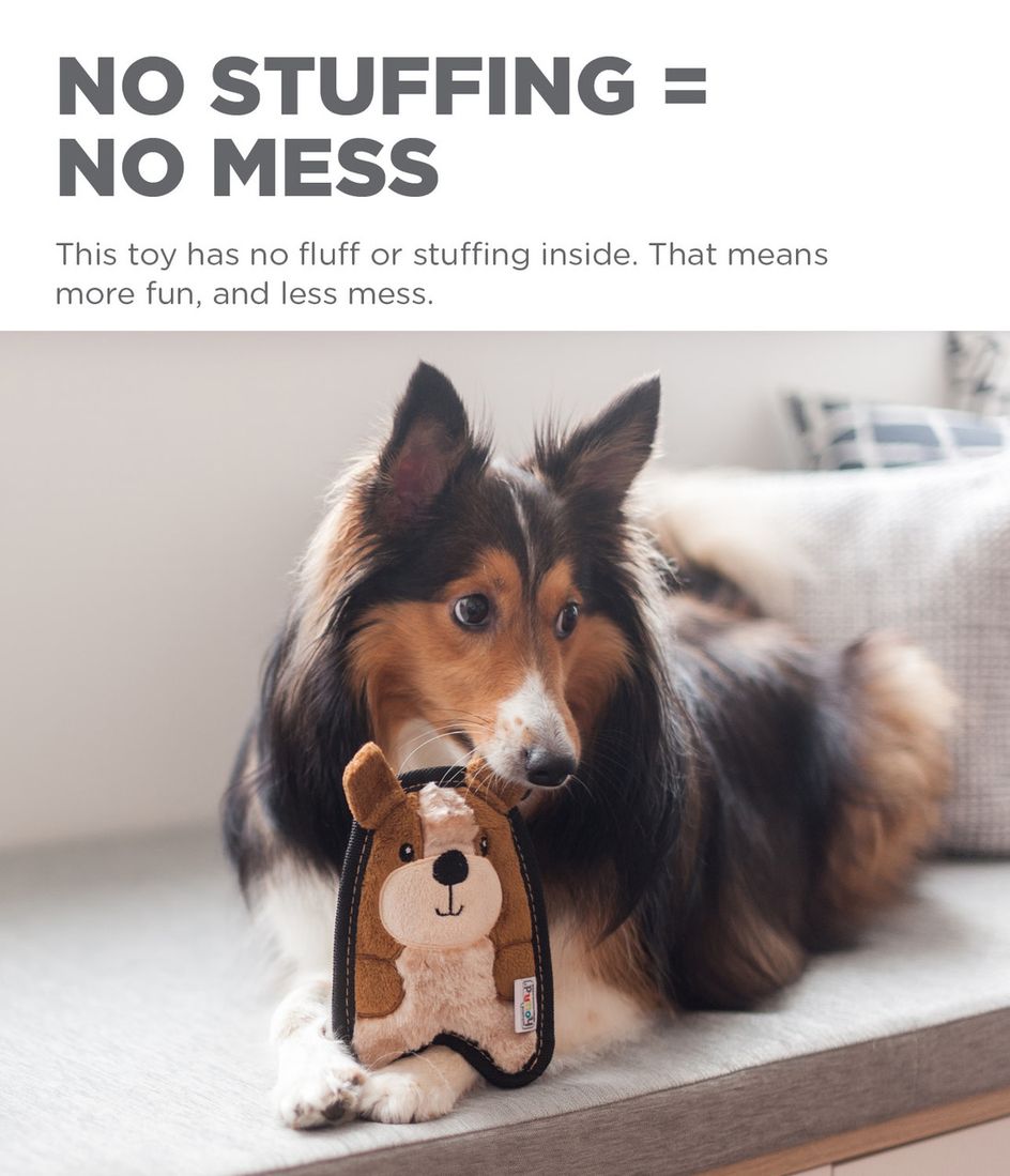 Outward Hound