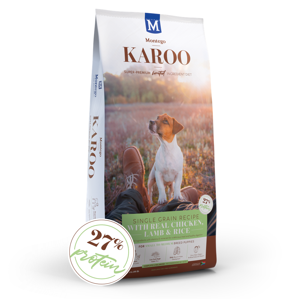 Montego Karoo Puppy Chicken & Lamb Small to Medium Breed
