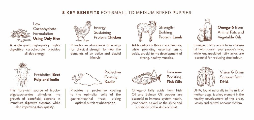 Montego Karoo Puppy Chicken & Lamb Small to Medium Breed - Image 2
