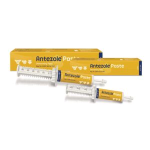 Antezole® Paste – Broad-Spectrum Dewormer for Dogs & Cats
