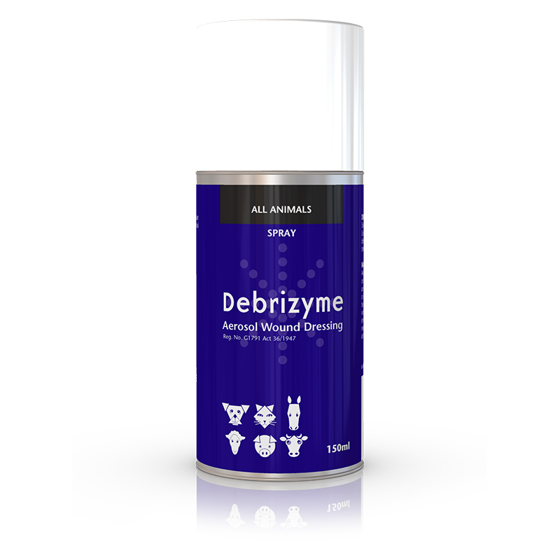 Debrizyme® Aerosol Wound Dressing Spray