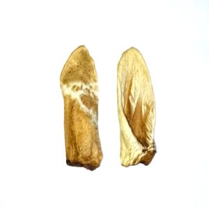LAMB EAR- SINGLES