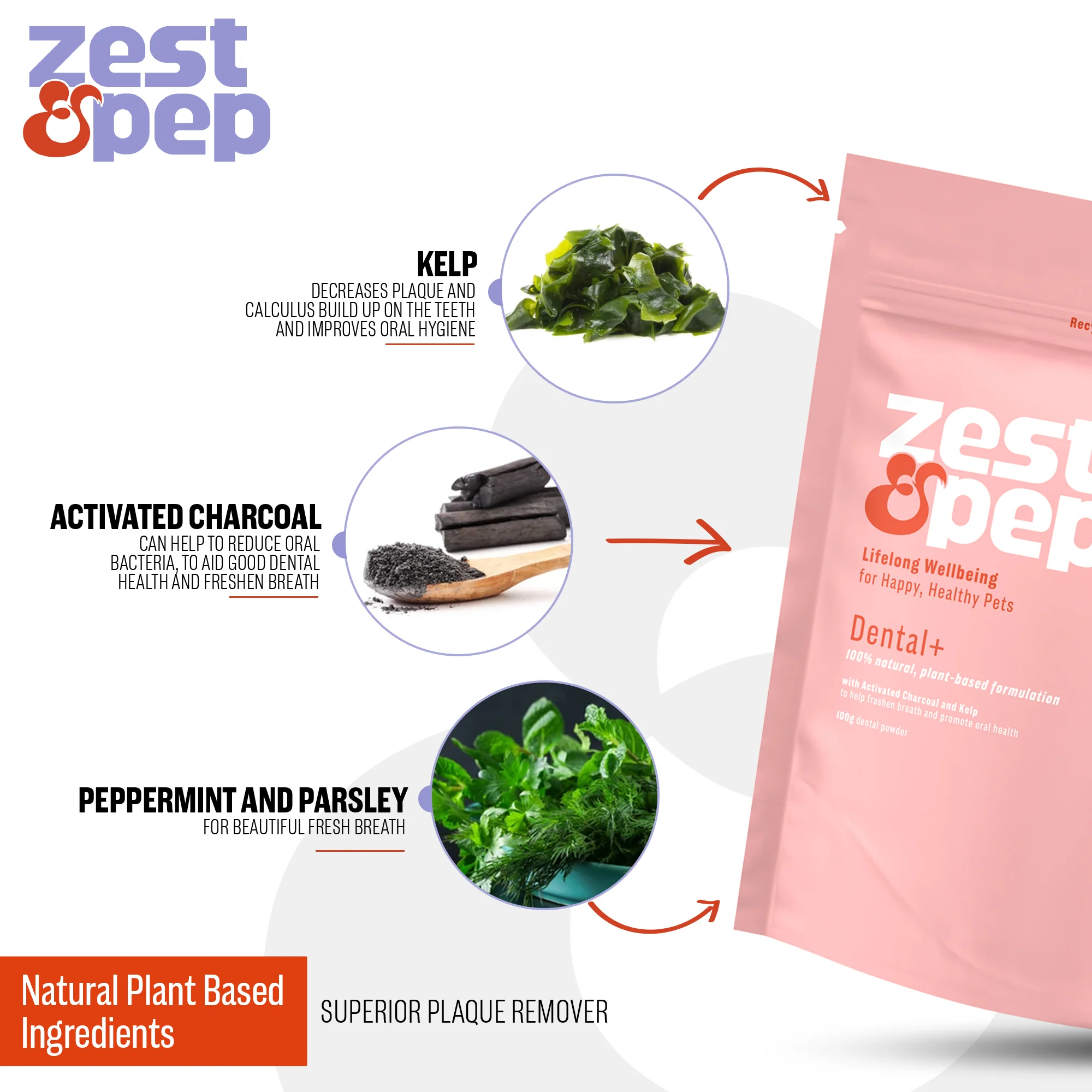 Zest and Pep Dental+ Powder - Image 2