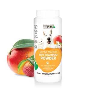 Natural Dry Shampoo powder – DIVINE MANGO-220ml