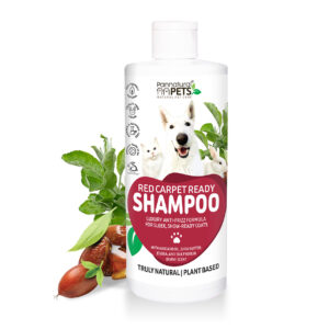 Natural Pet Shampoo Red Carpet Ready