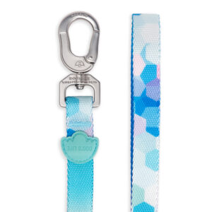 Dog's Life Designer Pooch Leashes - Hex Gradient