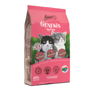 Nutribyte Kitten